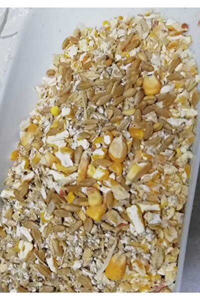 CP 10 Kg Mısır Arpa Kırığı Elenmiş Buğday Karışımlı Tavuk Yemi Kuş Güvercin Hindi Kaz Ördek Doğal Yemi