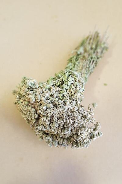 YILMAZ ŞİFALI BİTKİLER VE BAHARAT ÜRÜNÜ Kekik Çayı 1 Bağ