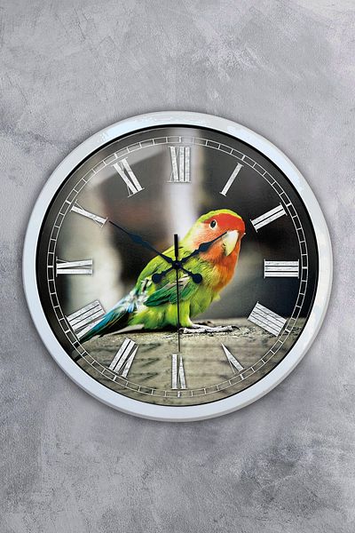 Kasva Concept Gift 40 cm White Metal Bird Wall Clock