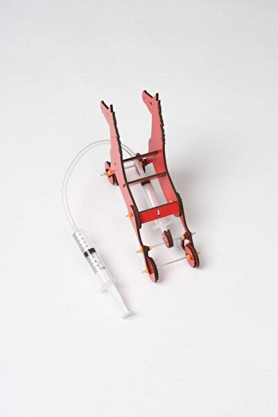 HYPATİA ROBOTİK Stem Hidrolik Düzenek Ile Yürüyen At (EĞİTİCİ OYUNCAK)