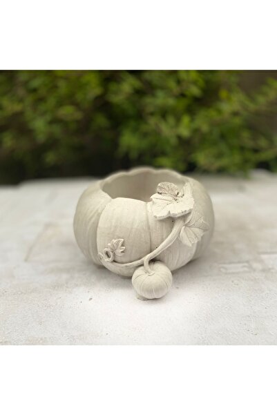 tohumtopraksaksı Yavrulu Kabak Kaktüs Ve Sukulent Saksısı Hobi Beton Harcımdan