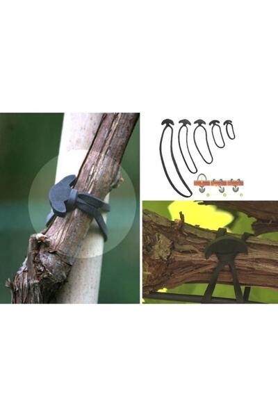 Asenya Fidan Bağlama Lastiği 10 Adet 25 Cm Elastik Bağlama Lastiği Fidan Bağl...