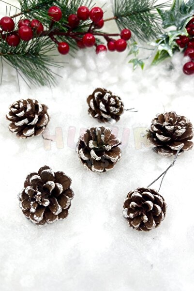 Huzur Party Store Πραγματικός κώνος 4 εκ. - Λευκό και καφέ, Πρωτοχρονιάτικο στολίδι 6 τεμαχίων, Κρεμαστό δέντρο από πεύκο