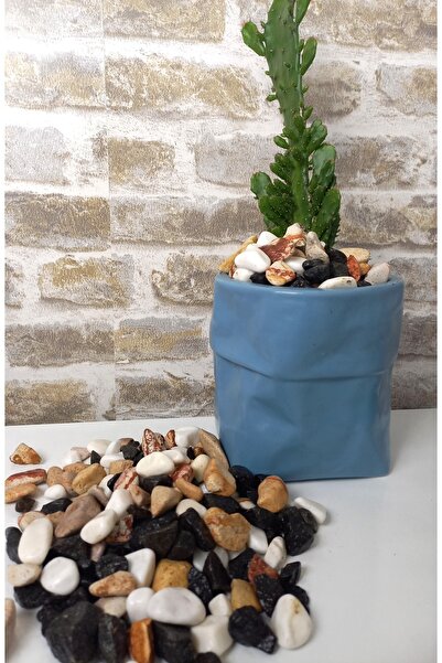 Asenya Renkli Çakıl Taşı 5 Kg 1-2 Cm Saksı Dibi Teraryum Saksı Süs Vazo Dibi ...