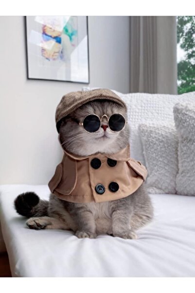 Petistera Kedi Gözlüğü 7 Cm - Siyah Renk