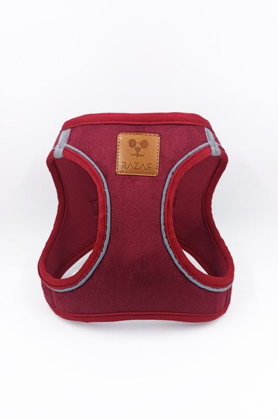 razar Süet Göğüs Tasması - Bordo