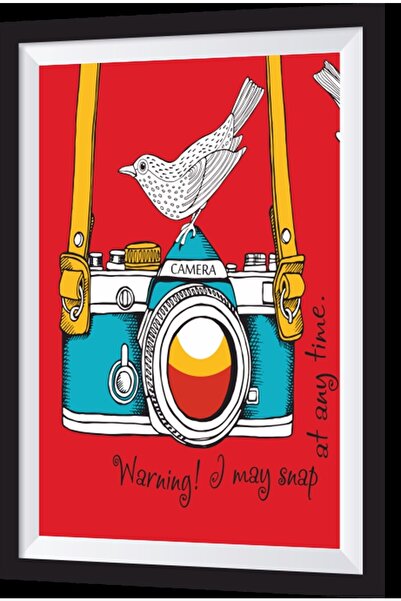 Hayat Poster Blue Camera Bird Artistic Frame Look Wooden Painting