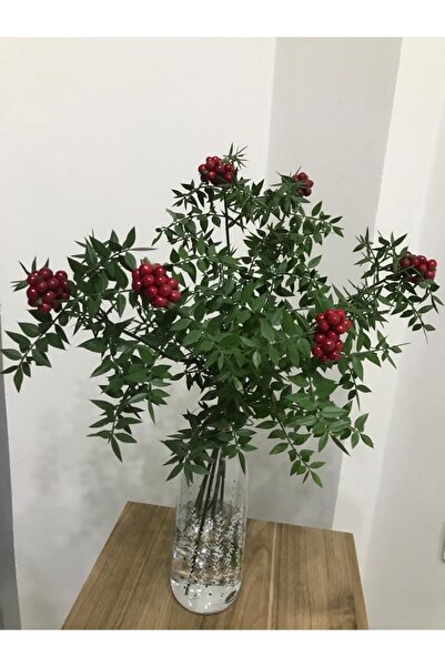 StadyumStore 9 Dal Kokina - Canlı Yılbaşı Çiçeği - Şans Çiçeği (1 Demet 9 Dal...