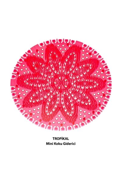 Rulopak Mini Lavabo Pisuvar Süzgeci Koku Giderici 5 Adet Çilek Tropikal