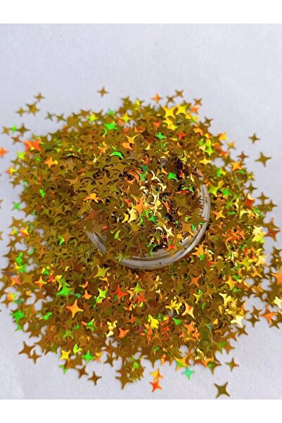 Sirius Hobi Epoksi Reçine Point Stars Gold Tırnak Makyaj Chunky Glitter 5 gr ...