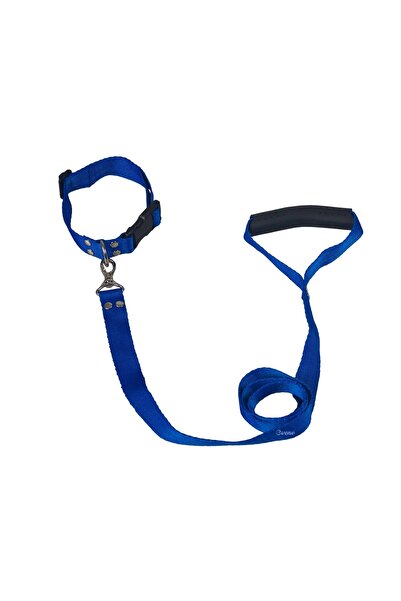 Pandogo Cat Collar Adjustable Cat Walking Collar Standard Size Model Izmir Blue