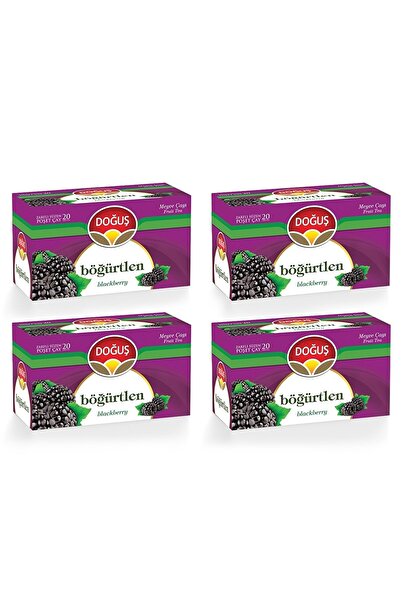 Doğuş Böğürtlenli Bitki Çayı 20 'li X 4