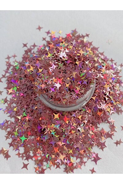 Sirius Hobi Epoksi Reçine Rose Pointstars Tırnak Makyaj Chunky Glitter 5gr Ho...