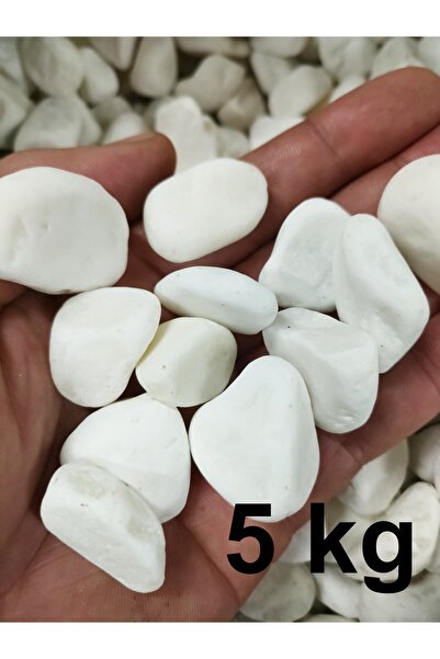 Genel Markalar Beyaz Dolomit Taş 5 Kg 1,5-2,5cm Dere Çakıl Taşı Bahçe Süs Taş...