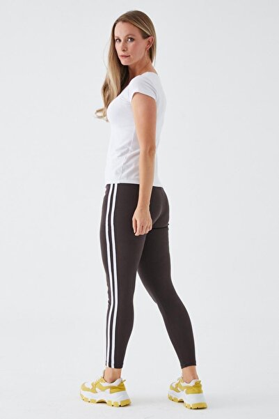 Freeista Brown Double Striped Tights