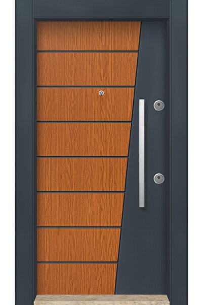 MONO ÇELİK KAPI SİSTEMLERİ Dış Iklim Kapısı, Yağmura Güneşe Dayanıklı Çelik K...