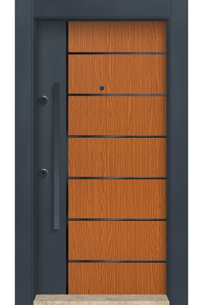 MONO ÇELİK KAPI SİSTEMLERİ Dış Iklim Kapısı, Yağmura Güneşe Dayanıklı Çelik K...