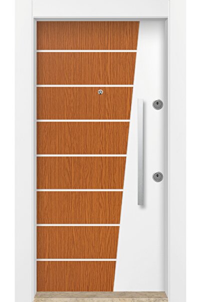 MONO ÇELİK KAPI SİSTEMLERİ Dış Iklim Kapısı, Yağmura Güneşe Dayanıklı Çelik K...