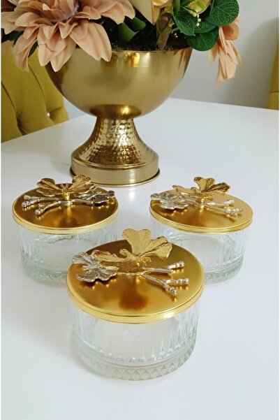 Elzemm store Decorative 3-Piece Snack Bowl with Lid with Elysia Glass Appeara...