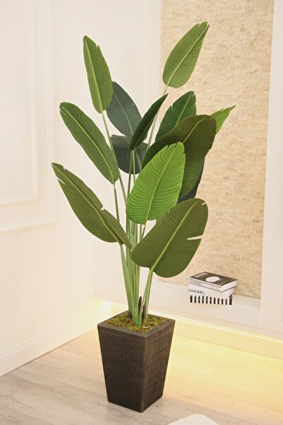 Yapay Çiçek Deposu Yapay Premium Starliçe Ağacı 210 Cm Siyah-gold Saksı