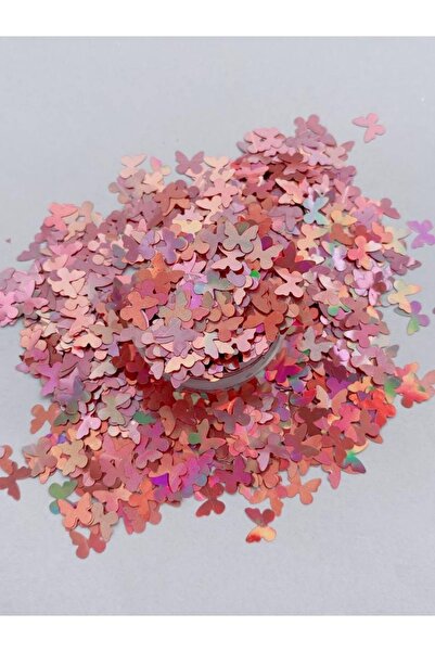 Sirius Hobi Epoksi Reçine Rose Butterfly Kelebek Tırnak Makyaj Chunky Glitter...