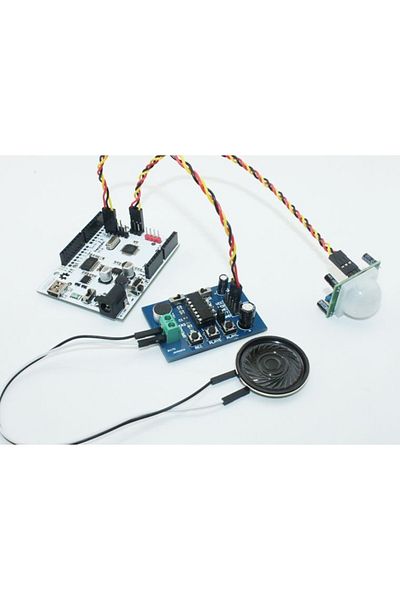 Robiduck Voice Recording and Playback Module Isd1820