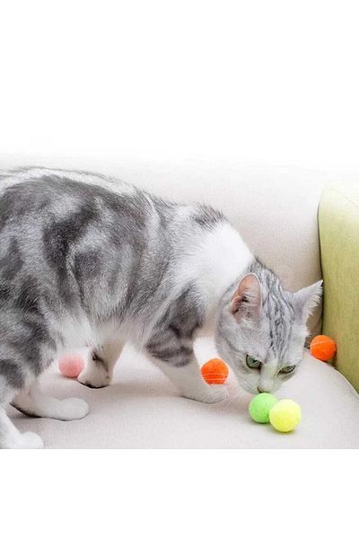 TİNEKE Colorful Pompoms Cat Toy (2.5 Cm 50 Pieces)