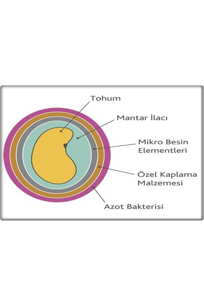 MUTLU TOHUM Yonca Tohumu Sunter Kaplamalı-sertifikalı (2 KG)