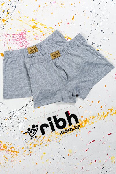 BSM Men's 2-Piece Gray Cotton Rubber Waist Stretch Short Boxers