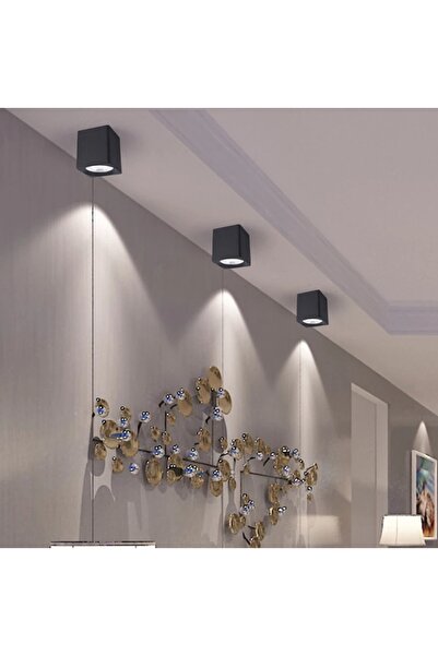 Cata Athena Siyah Gold Sıva Üstü Kare Dekoratif Armatür Ct-5417