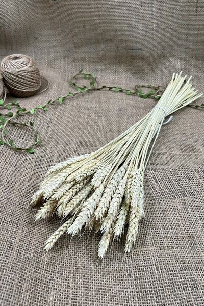 Hobigram Κρέμα Shocked Spike Bunch Dry Flower – Ειδικό σχέδιο, Αξεσουάρ, Ποιοτική Παραγωγή, Στυλ που τραβάει τα βλέμματα –