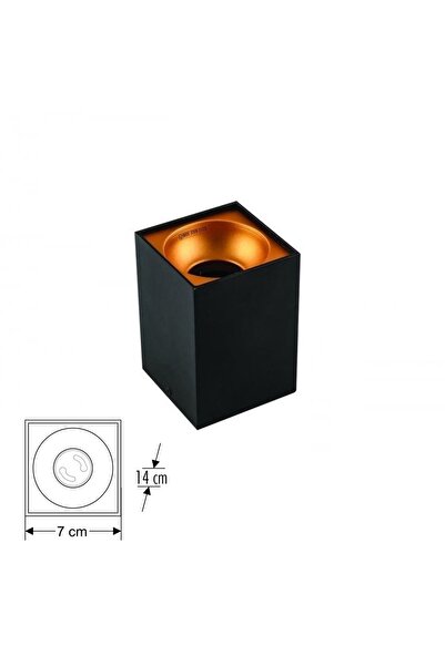 Cata Athena Siyah Gold Sıva Üstü Kare Dekoratif Armatür Ct-5417
