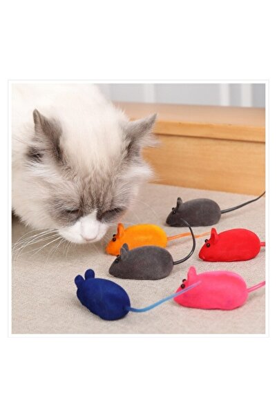 miyoka Kedi Oyucağı Sesli Fare