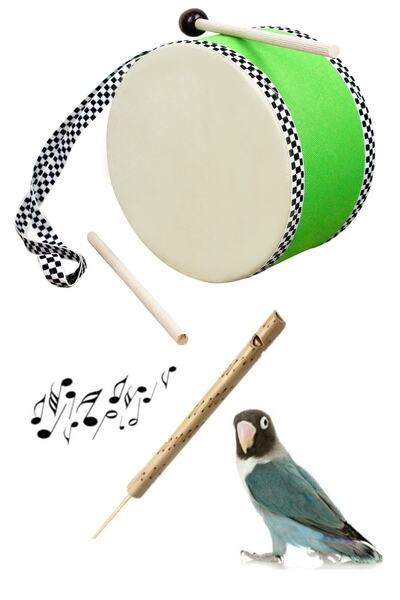 AyasEğiticiOyuncak Orjinal Gerçek Çocuk Darbukası - Yeşil