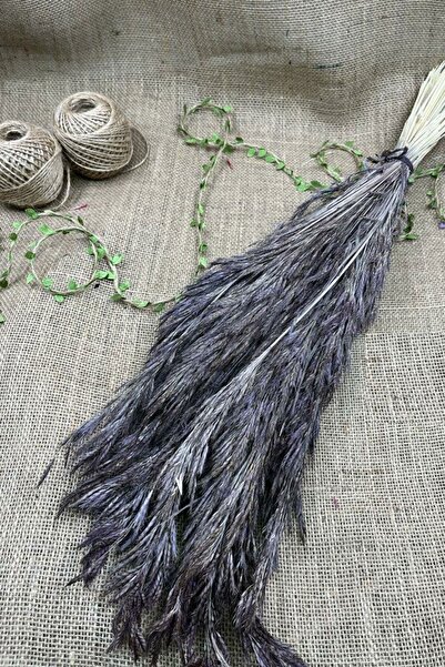 Hobigram Yapay Çiçek Koyu Gri Kuru Çiçek Kurutulmuş Kuş Dili – Yapay Çiçek De...