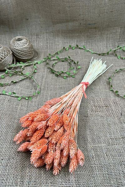 Hobigram Τεχνητό λουλούδι Salmon Bird Weed Palaris Αποξηραμένο λουλούδι