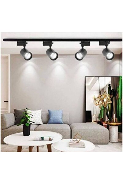 Genel Markalar 4 Adet 30w Siyah Kasa Beyaz Işık Ray Spot Inci Marka