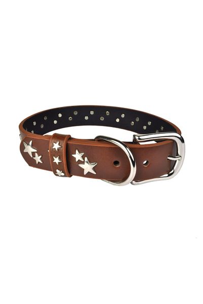 Bestie Star Large Size Leather Dog Collar 55 cm