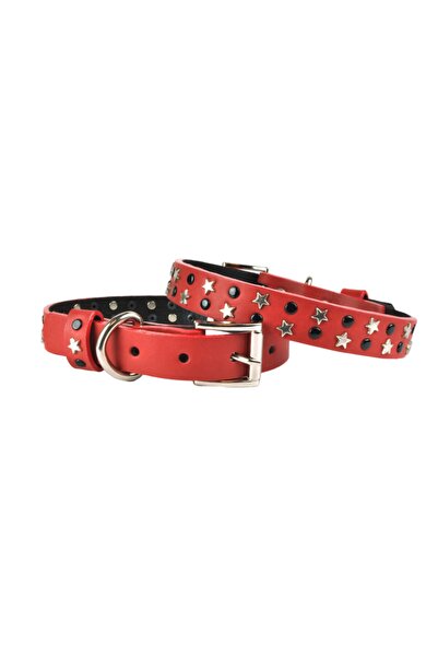 Bestie Leo Medium Leather Dog Collar 45 cm