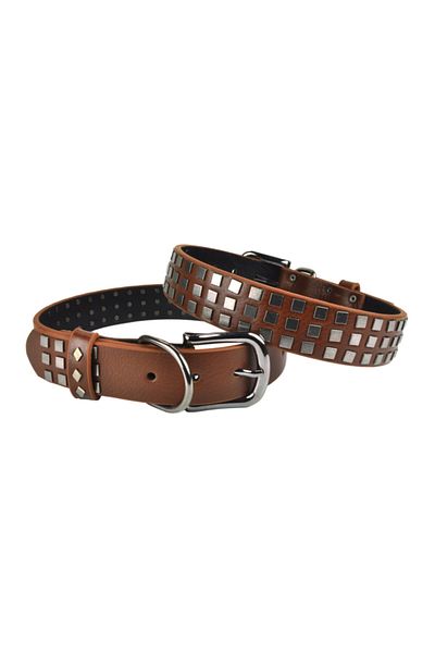 Bestie Merlin Large Size Leather Dog Collar 55cm
