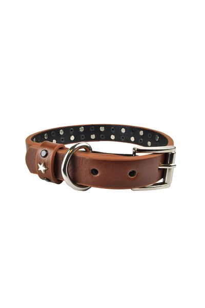 Bestie Leo Medium Leather Dog Collar 45cm