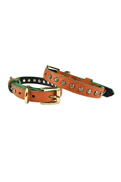 Bestie Diamond Küçük Boy Deri Köpek Tasması 35cm