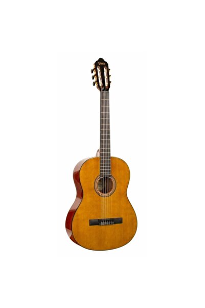 VALENCIA Vc 264h Klasik Gitar(kılıf+yedek Tel Seti+pena Hediye)