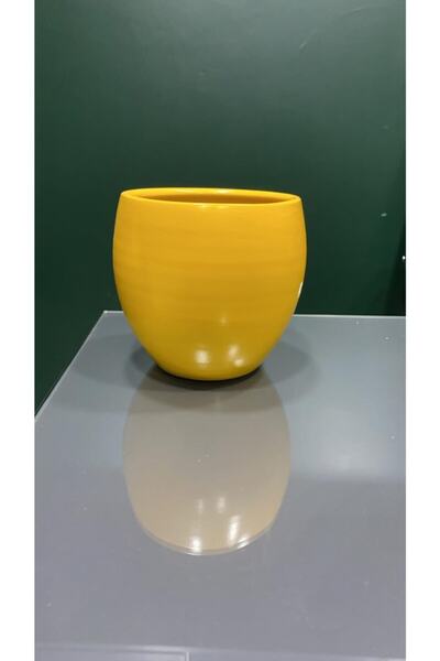 BotanikBahçem Toprak Saksı