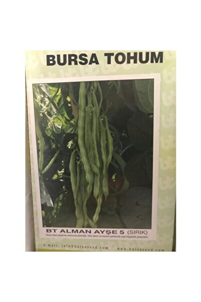 Bursa Tohumculuk Alman Ayşe 5 (sırık) Fasulye Tohumu / 100 Gram