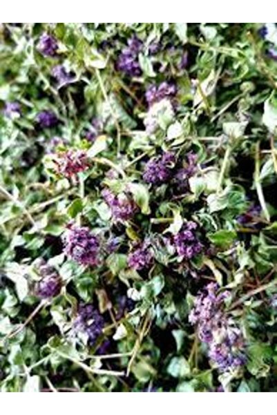 Ambar Kuruyemiş Organik Yayla Çayı 100 Gr.