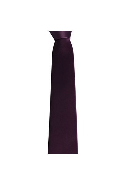 Brianze Men's Purple Handkerchief Tie Smdk-9