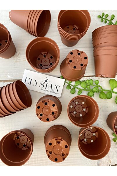 Elysian Üretim Saksı 50 Adet Kaktüs Ve Sukulent Üretim Saksısı 5,5x5 Kahveren...