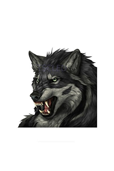 TSC Kızgın Kurt Araba Sticker Yapıştırması