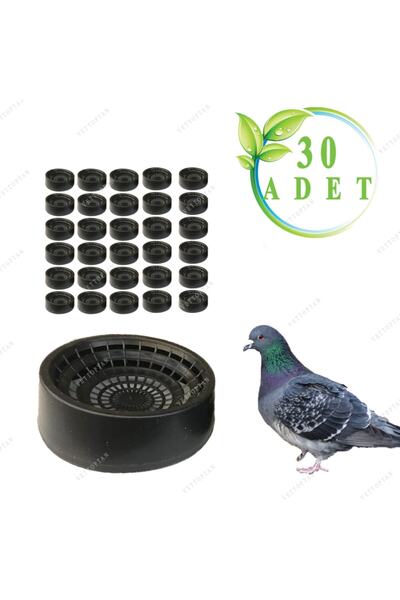 Genel Markalar Folluk Güvercin Folluğu Delikli Oval 30 Adet Plastik Yumurtalık Pigeon Kümes Ekipmanları Malzeme Kuş